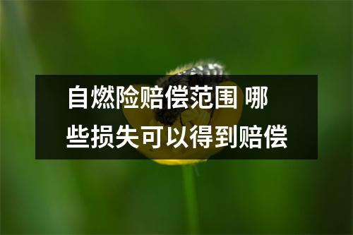 自燃险赔偿范围 哪些损失可以得到赔偿