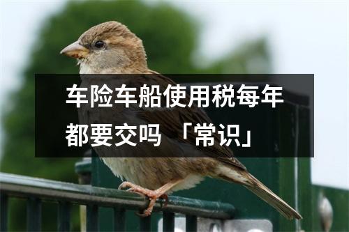 车险车船使用税每年都要交吗 「常识」