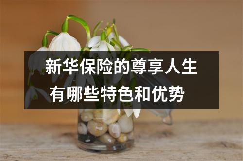 新华保险的尊享人生 有哪些特色和优势