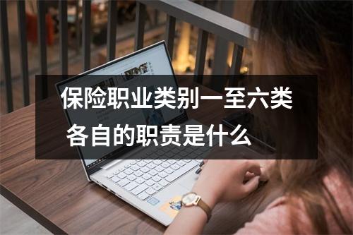 保险职业类别一至六类 各自的职责是什么