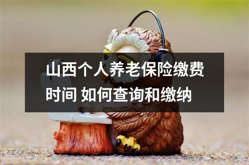 山西个人养老保险缴费时间 如何查询和缴纳