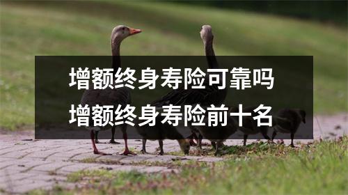 增额终身寿险可靠吗 增额终身寿险前十名