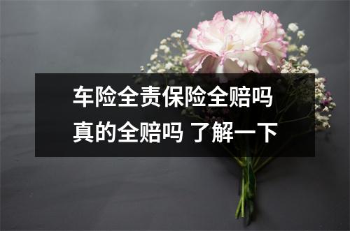 车险全责保险全赔吗 真的全赔吗 了解一下