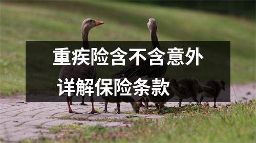 重疾险含不含意外 详解保险条款