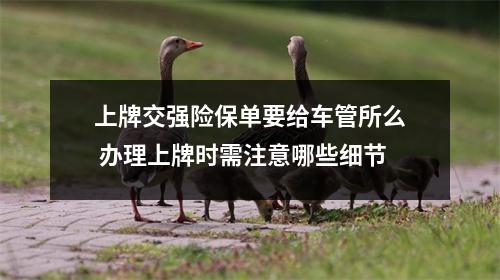 上牌交强险保单要给车管所么 办理上牌时需注意哪些细节