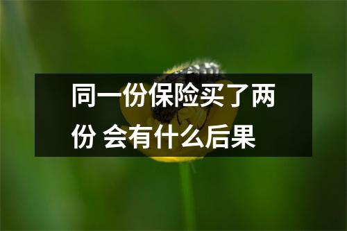 同一份保险买了两份 会有什么后果