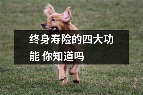 终身寿险的四大功能 你知道吗 