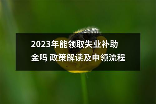 2023年能领取失业补助金吗 政策解读及申领流程