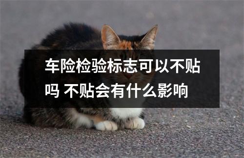 车险检验标志可以不贴吗 不贴会有什么影响