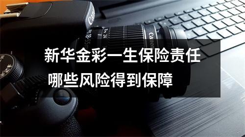 新华金彩一生保险责任 哪些风险得到保障 