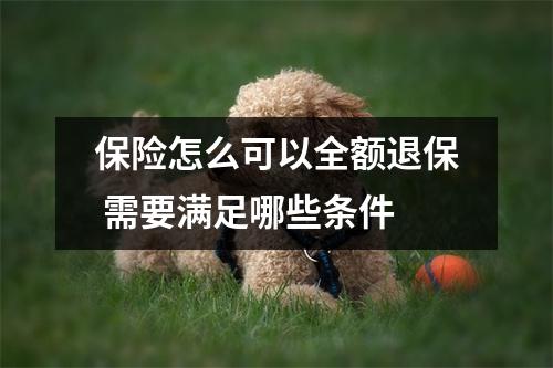保险怎么可以全额退保 需要满足哪些条件