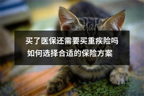 买了医保还需要买重疾险吗 如何选择合适的保险方案
