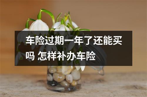 车险过期一年了还能买吗 怎样补办车险 