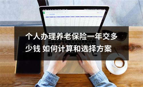个人办理养老保险一年交多少钱 如何计算和选择方案