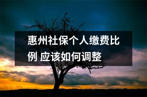 惠州社保个人缴费比例 应该如何调整 