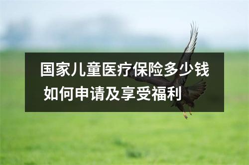 国家儿童医疗保险多少钱 如何申请及享受福利