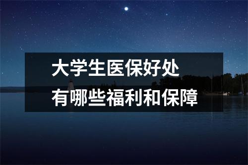 大学生医保好处 有哪些福利和保障