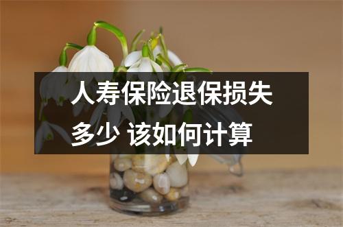 人寿保险退保损失多少 该如何计算