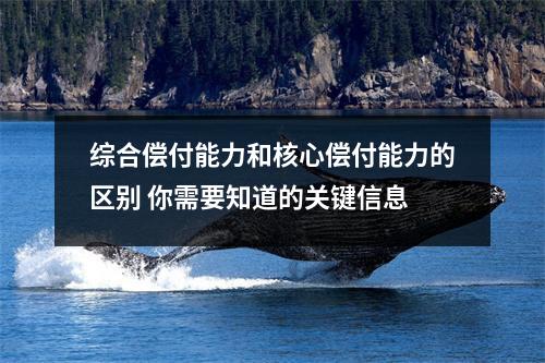 综合偿付能力和核心偿付能力的区别 你需要知道的关键信息