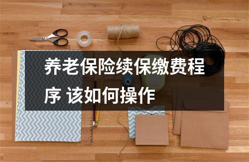 养老保险续保缴费程序 该如何操作 