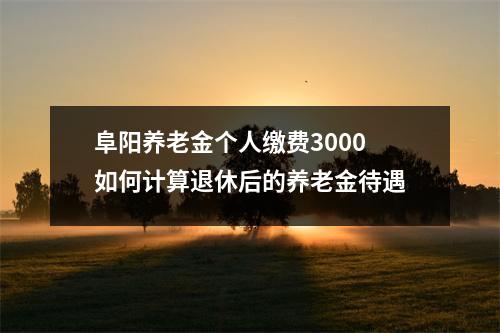 阜阳养老金个人缴费3000 如何计算退休后的养老金待遇