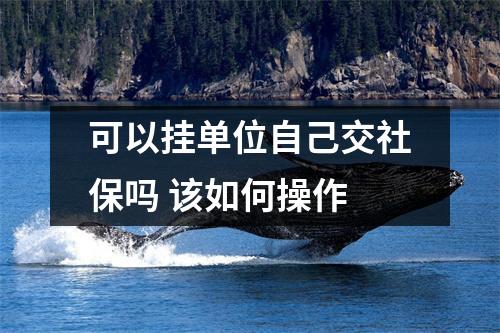 可以挂单位自己交社保吗 该如何操作