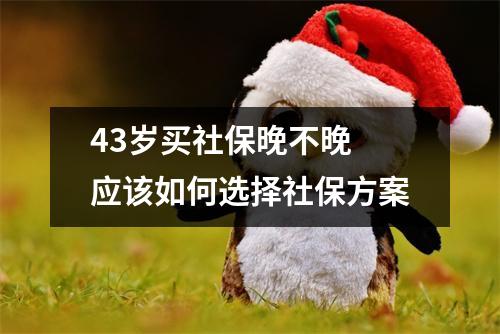 43岁买社保晚不晚 应该如何选择社保方案