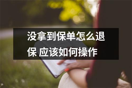 没拿到保单怎么退保 应该如何操作