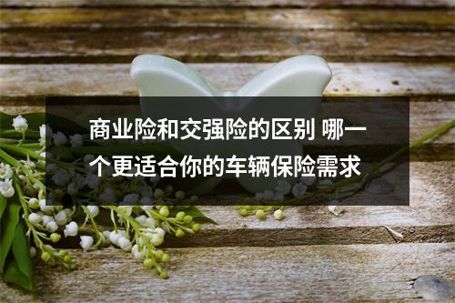 商业险和交强险的区别 哪一个更适合你的车辆保险需求