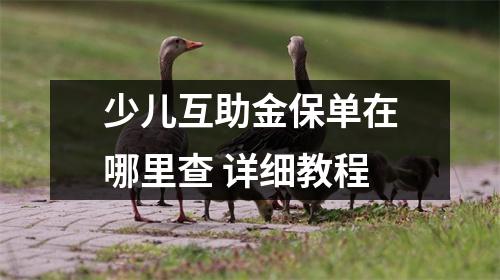 少儿互助金保单在哪里查 详细教程