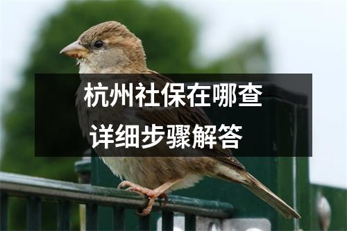 杭州社保在哪查 详细步骤解答