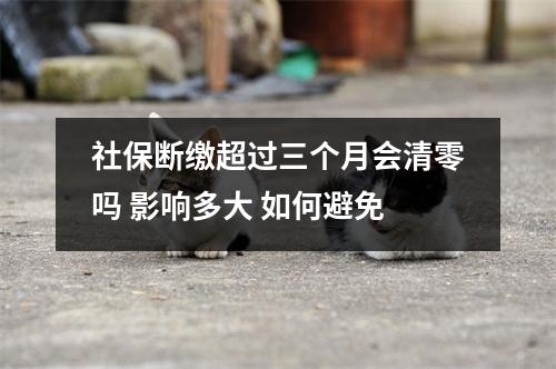 社保断缴超过三个月会清零吗 影响多大 如何避免