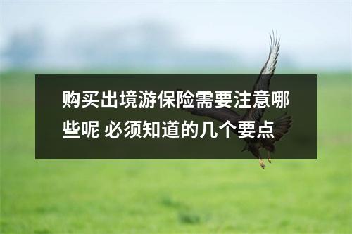 购买出境游保险需要注意哪些呢 必须知道的几个要点