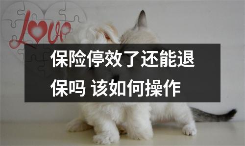 保险停效了还能退保吗 该如何操作