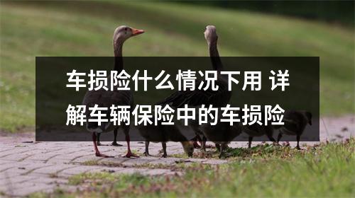 车损险什么情况下用 详解车辆保险中的车损险