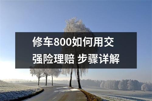 修车800如何用交强险理赔 步骤详解