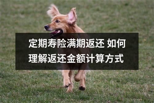 定期寿险满期返还 如何理解返还金额计算方式