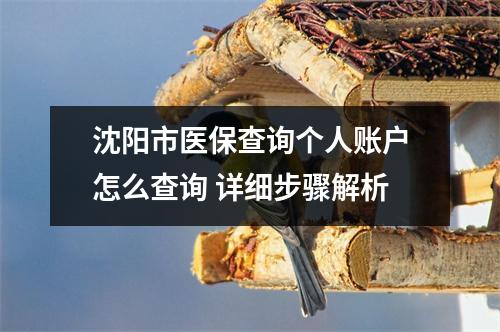 沈阳市医保查询个人账户怎么查询 详细步骤解析