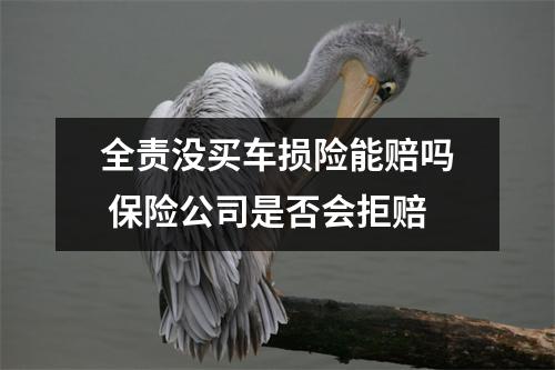 全责没买车损险能赔吗 保险公司是否会拒赔