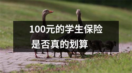 100元的学生保险 是否真的划算