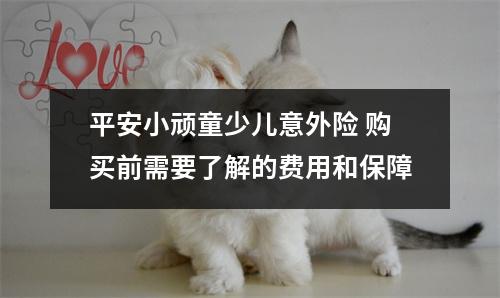 平安小顽童少儿意外险 购买前需要了解的费用和保障