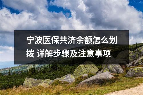 宁波医保共济余额怎么划拨 详解步骤及注意事项