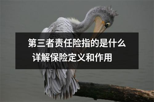 第三者责任险指的是什么  详解保险定义和作用