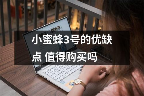 小蜜蜂3号的优缺点 值得购买吗 