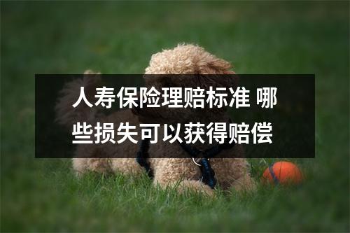 人寿保险理赔标准 哪些损失可以获得赔偿 