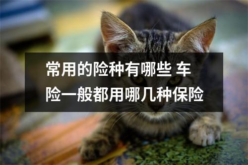 常用的险种有哪些 车险一般都用哪几种保险