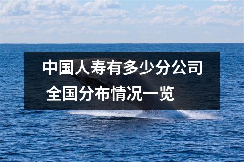 中国人寿有多少分公司 全国分布情况一览