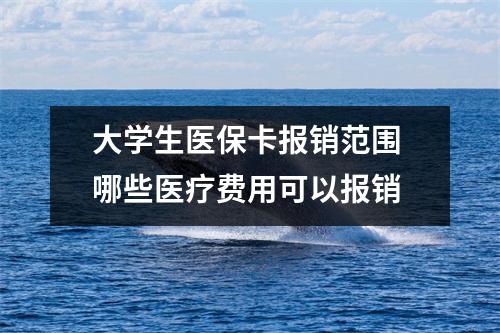 大学生医保卡报销范围 哪些医疗费用可以报销