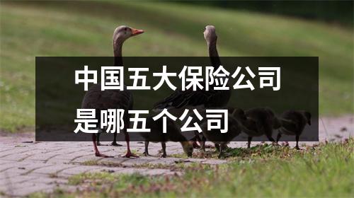 中国五大保险公司是哪五个公司