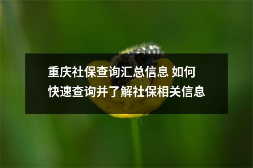 重庆社保查询汇总信息 如何快速查询并了解社保相关信息